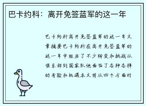 巴卡约科：离开免签蓝军的这一年